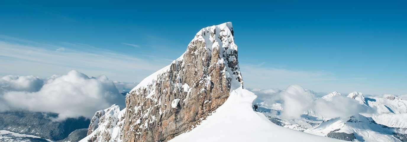 Colis cadeau Montagne Noire ﻿de canard pour les fêtes de fin d'année